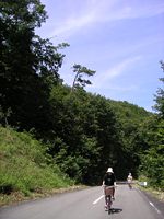 クリックすると大きな画像が出てきます。