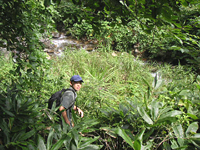 クリックすると大きな画像が出てきます。