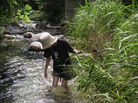 クリックすると大きな画像が出てきます。