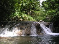 クリックすると大きな画像が出てきます。