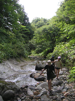 クリックすると大きな画像が出てきます。