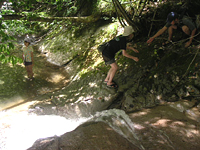 クリックすると大きな画像が出てきます。