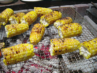 クリックすると大きな画像が出てきます。