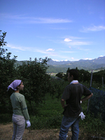 クリックすると大きな画像が出てきます。