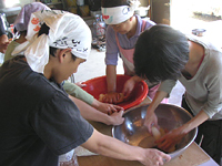 クリックすると大きな画像が出てきます。