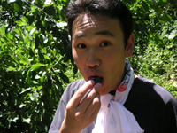 クリックすると大きな画像が出てきます。