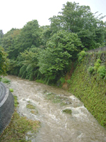 クリックすると大きな画像が出てきます。