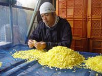 クリックすると大きな画像が出てきます。