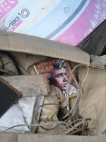 クリックすると大きな画像が出てきます。