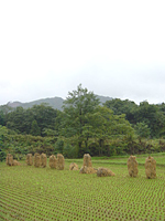 クリックすると大きな画像が出てきます。