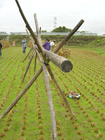 クリックすると大きな画像が出てきます。