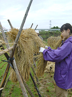 クリックすると大きな画像が出てきます。