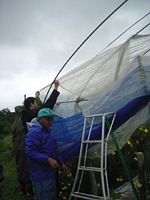 クリックすると大きな画像が出てきます。