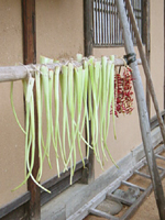 クリックすると大きな画像が出てきます。