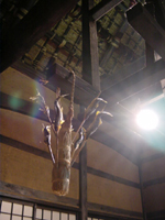 クリックすると大きな画像が出てきます。