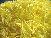 クリックすると大きな画像が出てきます。