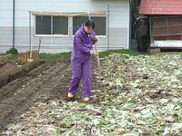 クリックすると大きな画像が出てきます。