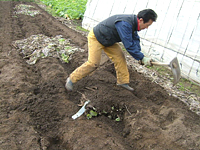 クリックすると大きな画像が出てきます。