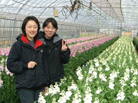 クリックすると大きな画像が出てきます。