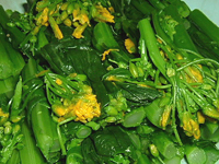 クリックすると大きな画像が出てきます。