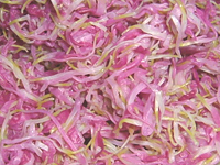 クリックすると大きな画像が出てきます。