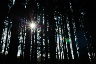 クリックすると大きな画像が出てきます。