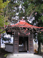 クリックすると大きな画像が出てきます。