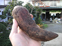 クリックすると大きな画像が出てきます。