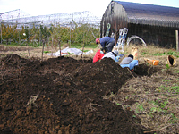 クリックすると大きな画像が出てきます。