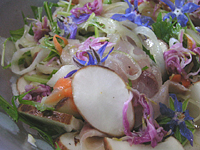 クリックすると大きな画像が出てきます。