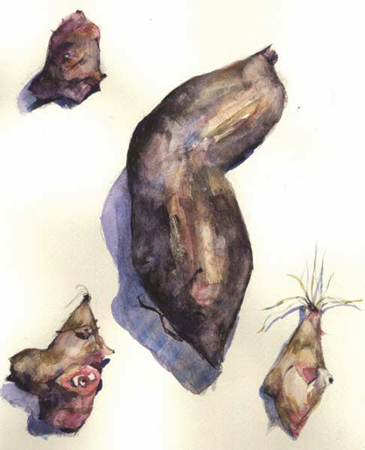 クリックすると大きな画像が出てきます。