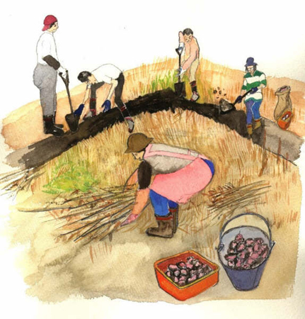 クリックすると大きな画像が出てきます。