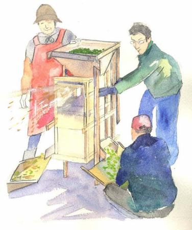 クリックすると大きな画像が出てきます。