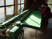 クリックすると大きな画像が出てきます。