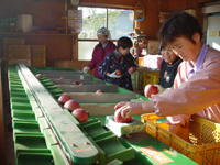 クリックすると大きな画像が出てきます。