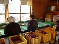 クリックすると大きな画像が出てきます。