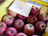 クリックすると大きな画像が出てきます。