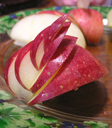 クリックすると大きな画像が出てきます。