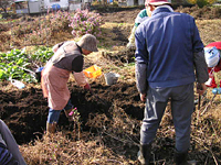 クリックすると大きな画像が出てきます。