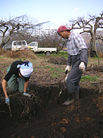 クリックすると大きな画像が出てきます。