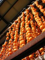 クリックすると大きな画像が出てきます。