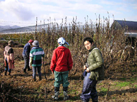 クリックすると大きな画像が出てきます。