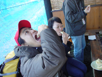 クリックすると大きな画像が出てきます。