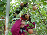 クリックすると大きな画像が出てきます。