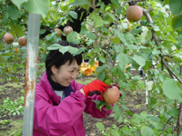 クリックすると大きな画像が出てきます。