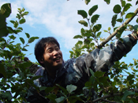 クリックすると大きな画像が出てきます。