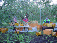 クリックすると大きな画像が出てきます。