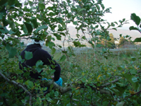 クリックすると大きな画像が出てきます。