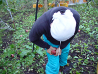 クリックすると大きな画像が出てきます。