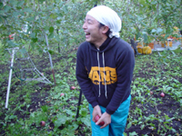 クリックすると大きな画像が出てきます。